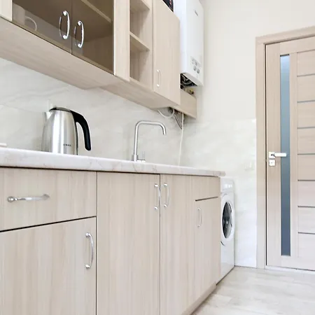 Deluxe D 25 公寓 利沃夫