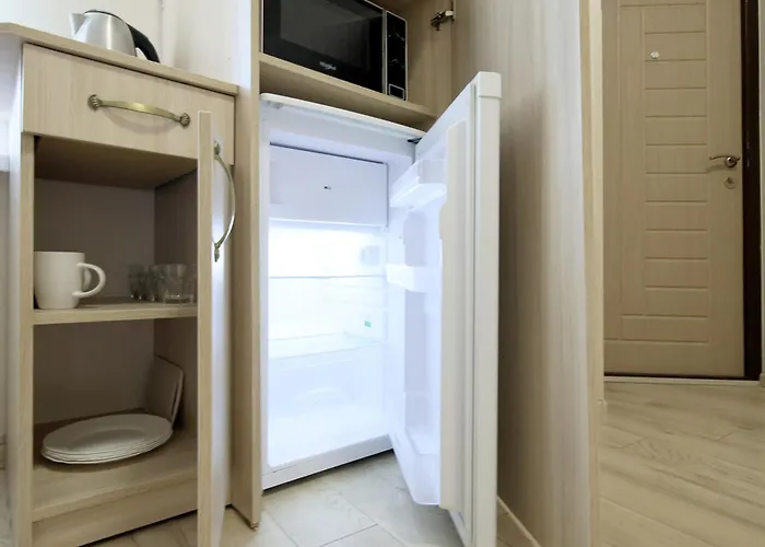 Deluxe D 25 Apartamento Leópolis